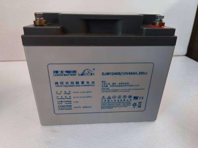 理士蓄电池DJM1240S 12V40Ah