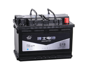 汽车启动型理士电池